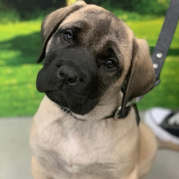 Meet your Posher, Becky - Picture 7 of 8